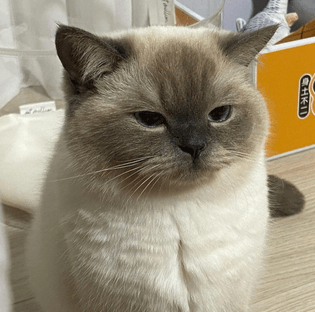 grumpy…