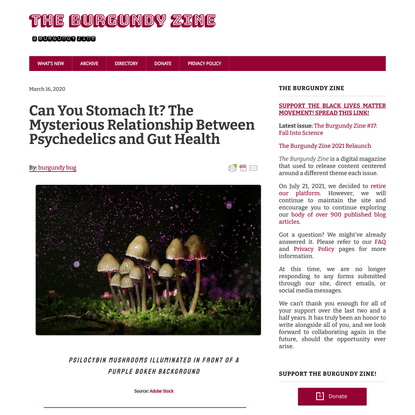 Can You Stomach It? The Mysterious Relationship Between Psychedelics and Gut Health | The Burgundy Zine