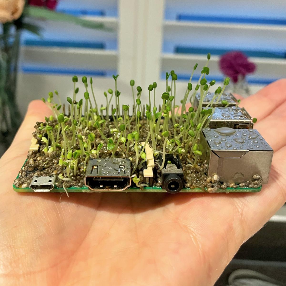 fhkpkxjuyai6g0c?format=jpg-name=large