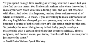 "quack this way" by david foster wallace