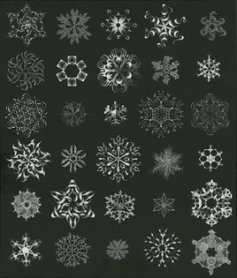 0baa9b53b49f3b3ccb68df7c40b50679.png