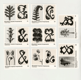 anna-mills-graphic-design-itsnicethat-7.jpg
