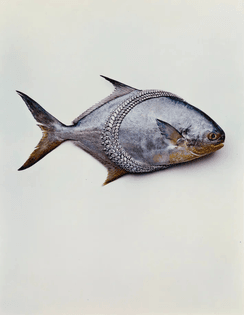 Image  Hiro, Van Cleef &amp; Arpels Necklace with Fish, 1963