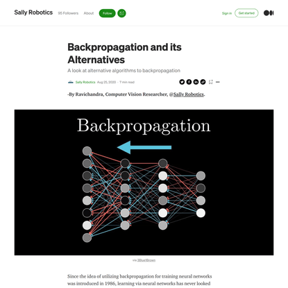 Backpropagation and its Alternatives