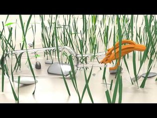 SoftCon: Simulation and Control of Soft-Bodied Animals with Biomimetic Actuators(SIGGRAPH Asia 2019)