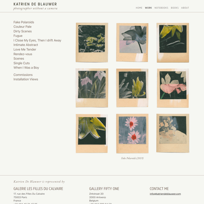 Works - katrien de blauwer