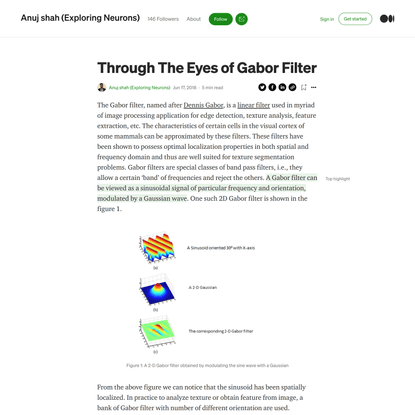 Through The Eyes of Gabor Filter