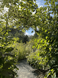 img_2253000.png