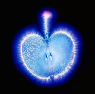 doorofperception.com-kirlian_photography-4-840x830.jpg