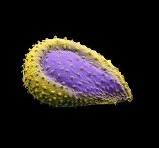 e6b39129776e1295bd52717936120788.jpg