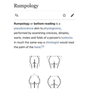 Rumpology