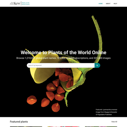 Plants of the World Online | Kew Science