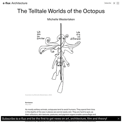 The Telltale Worlds of the Octopus - Architecture - e-flux