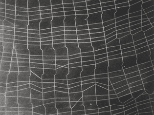 vija_celmins_web_ladder.jpeg