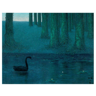 Black Swan, William Degouve de Nuncques