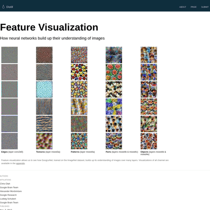 Feature Visualization
