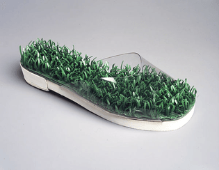 "Barefoot in the Grass" 1994 Beth Levine