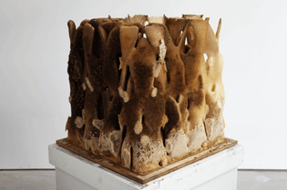 Hilary Berseth, Programmed Hive 7, 2008