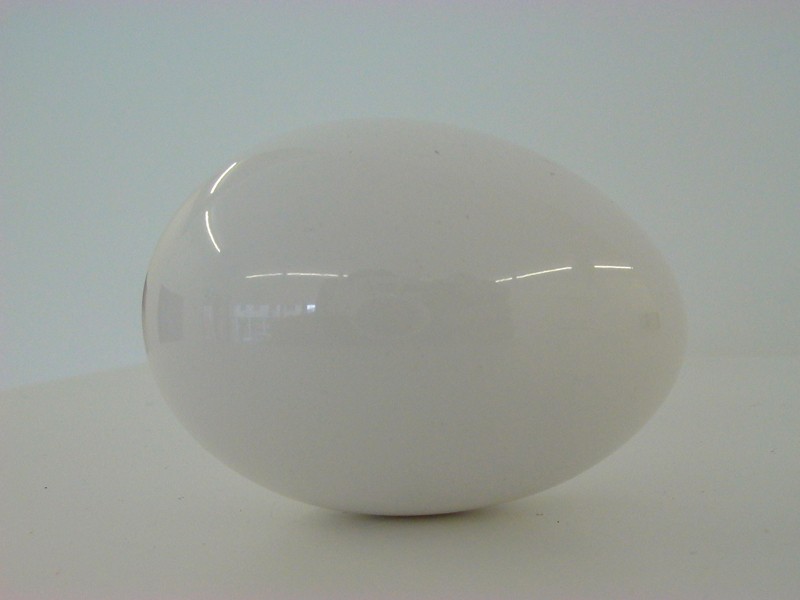 Karin Sander - Polished Chicken's Egg, 1994