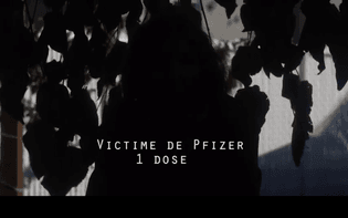 pfizer-victim-1dose.png