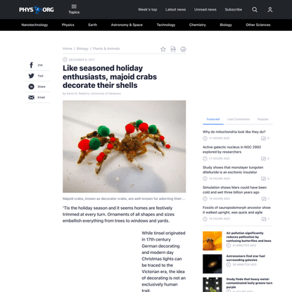 Like seasoned holiday enthusiasts, majoid crabs decorate their shells