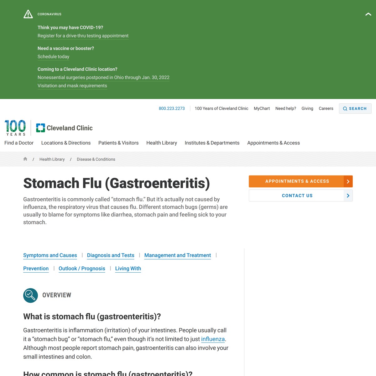 gastroenteritis-stomach-flu-are-na