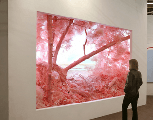 Patrick Jacobs — Pink Forest, 2018