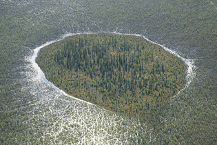 muskeg-forest-island-g1430818-louis-helbig-alberta-oil-tar-sands.jpg
