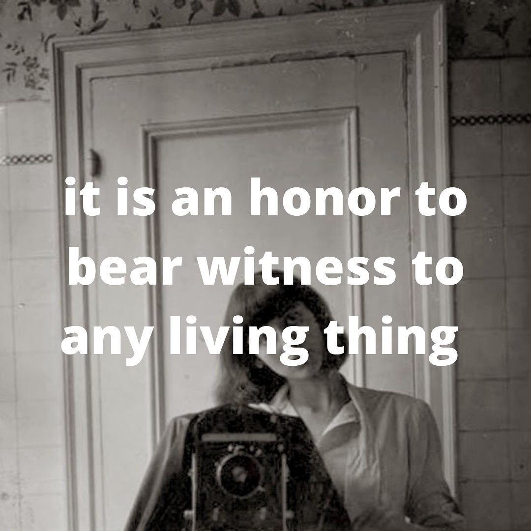 it-is-an-honor-to-bear-witness-to-any-living-thing.jpg