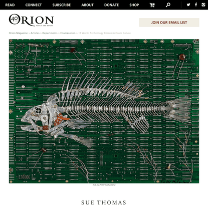 Orion Magazine - 10 Words Technology Borrowed from Nature