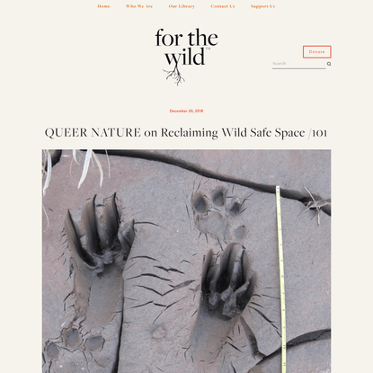 QUEER NATURE on Reclaiming Wild Safe Space — FOR THE WILD