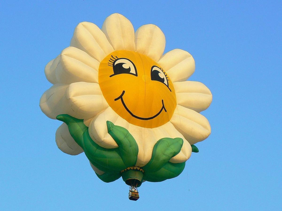 2008 Plano Balloon Festival