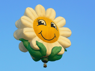  2008 Plano Balloon Festival