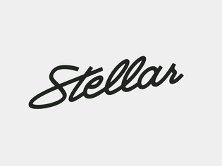 https://dribbble.com/shots/17356960-Custom-Logo-Script