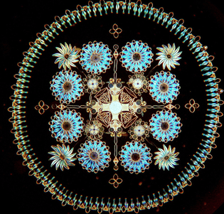 diatom-2.jpg