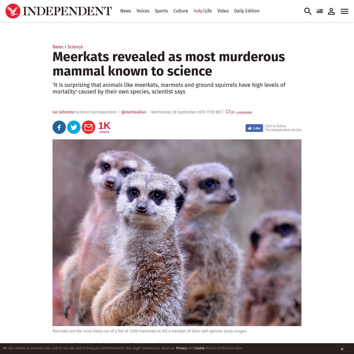 Introducing the most murderous mammal known to science — Are.na