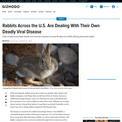 Rabbits Across the U.S. Are Dealing With Their Own Deadly Viral Disease