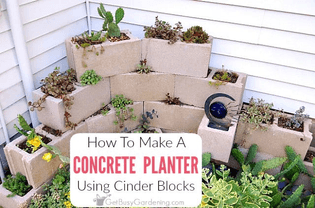 how-to-make-a-concrete-block-planter.jpg