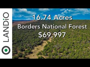 16.74 Acres of Land for Sale in New Mexico bordering National Forest * LANDiO