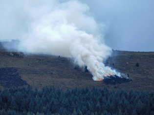 2560px-muirburn_at_appletreewick-_yorkshire_dales.jpg