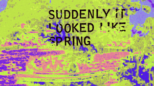 spring.png