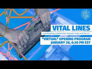 Vital Lines / Líneas Vitales Opening