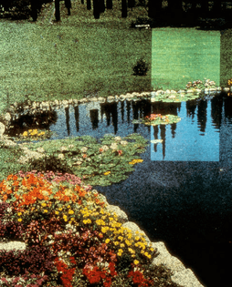 1990-American-Gardens-12.0.jpg