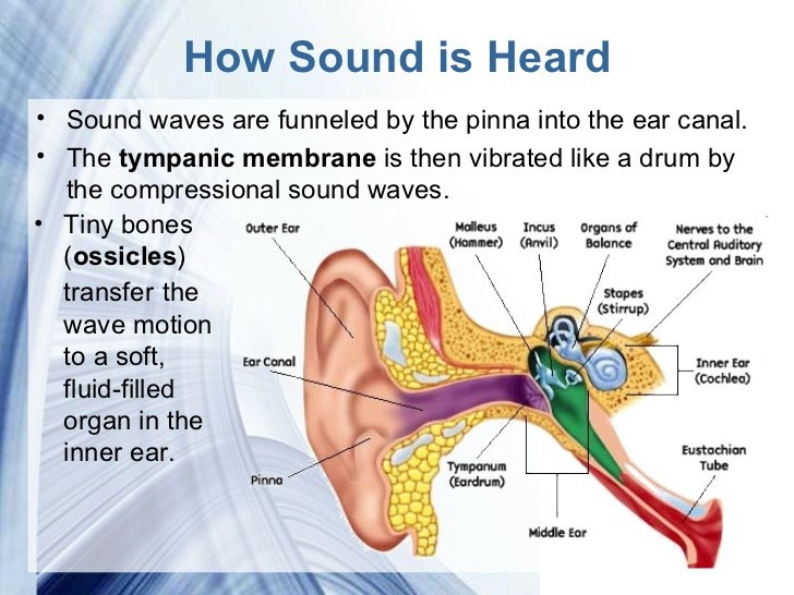 properties-of-sound-11-728-jpg-are-na