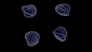 Hybrid Forms: New Growth