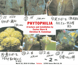 Phytophilia, Cactus Store, 2018