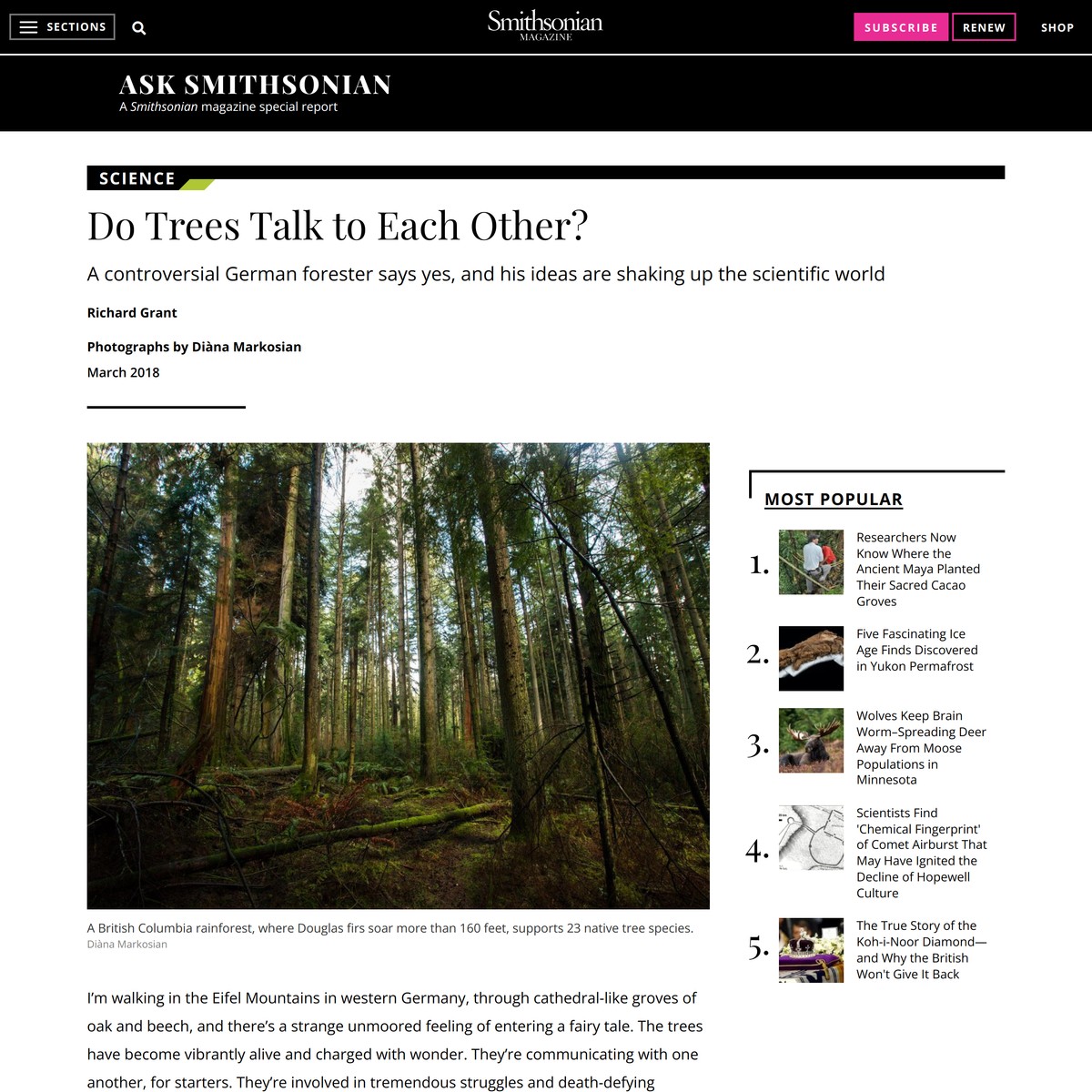 Do Trees Talk to Each Other? — Are.na