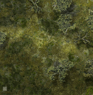 marsh_battle_map_2_by_hero339-d5q2a28.jpg
