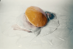 carole-itter-raw-egg-costume-19741.png