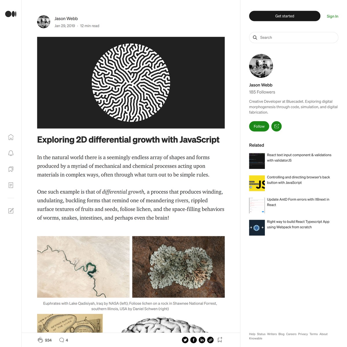 Exploring 2D differential growth with JavaScript — Are.na